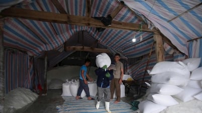 Nghe An people rush to move property, harvest agricultural products, and brace themselves against storm No. 5