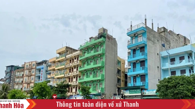 100% tàu thuyền của ngư dân Sầm Sơn đã vào nơi tránh trú an toàn