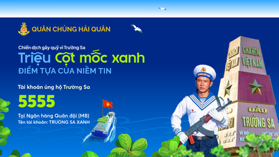 បើកយុទ្ធនាការ “Million Green Milestones” ដើម្បីរៃអង្គាសថវិកាដាំដើមឈើឲ្យបៃតងតំបន់ពិសេស Truong Sa