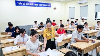 2025년 대학 입학 점수가 예상을 뛰어넘는 변동을 보이는 이유는 무엇인가?