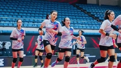 2025年女子バレーボール世界選手権のライブ放送チャンネル