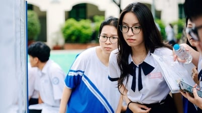 University Admissions 2025: Why did the benchmark score increase to a record high?