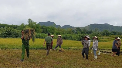 Central region practices responding to super typhoon
