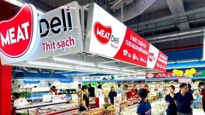 MEATDeli Kühlfleisch: Garantierte Sicherheit dank 3-Schicht-Quarantänesystem