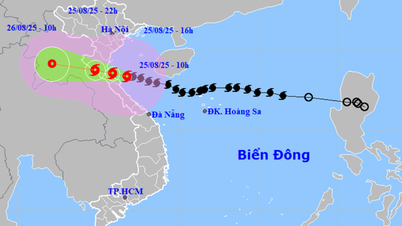 Công điện của Bộ trưởng Bộ VHTTDL Nguyễn Văn Hùng về việc tập trung ứng phó khẩn cấp bão số 5