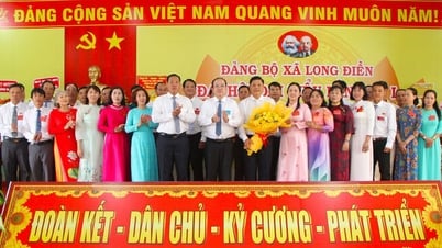 El camarada Cu Minh Trong ocupa el cargo de Secretario del Comité del Partido de la Comuna de Long Dien para el período 2025-2030.