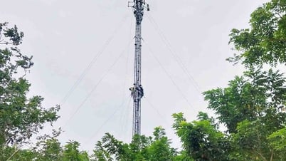 Viettel mobilizes all forces to prevent storm Kajiki