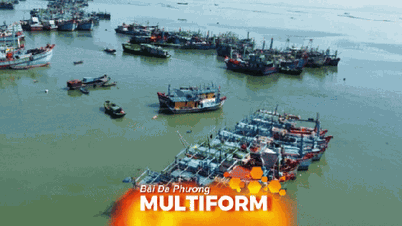 TP.HCM đẩy mạnh số hóa, siết chặt quản lý để gỡ “thẻ vàng” thủy sản