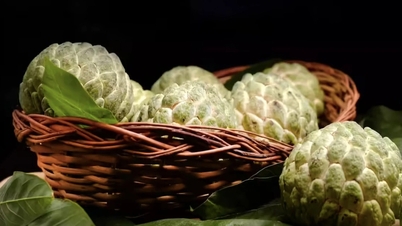 Một ngày bạn được ăn bao nhiêu quả na?