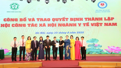 បង្កើតសមាគមការងារសង្គមវេជ្ជសាស្ត្រវៀតណាម
