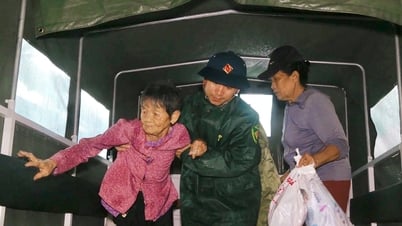 5호 폭풍에 선제적으로 대응: 쿠아로 구, 2,500명 이상 안전 대피