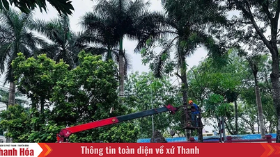 จัดกิจกรรมรณรงค์ตัดแต่งกิ่งไม้ ทำความสะอาดเส้นทางจราจรให้ปลอดภัย