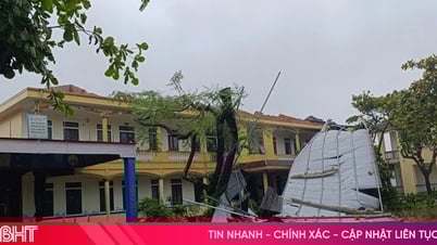 Live Panorama នៃព្យុះទី ៥ ការឆ្លើយតបនៅខេត្ត Ha Tinh៖ ខ្យល់បក់បោក ដើមឈើរលំ ដំបូលបាក់