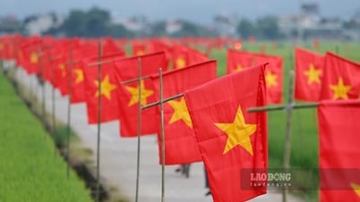 Cánh đồng lúa xanh Mường Thanh rực sắc đỏ dịp Quốc khánh 2.9