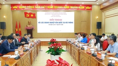Koreanische Unternehmen hoffen, dass Hai Phong weiterhin in die Infrastruktur investiert und die Humanressourcen fördert