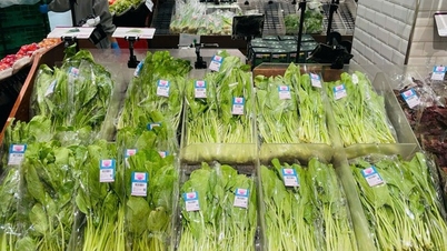 Lassen Sie nicht zu, dass Waren knapp werden oder die Preise unangemessen steigen.