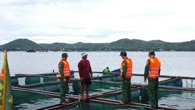 Đắk Lắk chủ động ứng phó với ảnh hưởng bão số 5