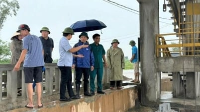 ハイフォン市は嵐5号に早期かつ遠方から対応