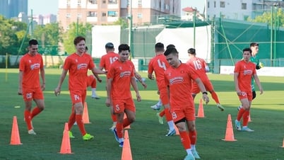 베트남팀, 8월 29일 다시 모인다