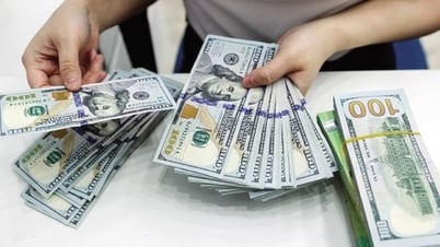 미국 달러 채권 발행: 국민들로부터 외화를 조달하는 것인가, 아니면 외국인 투자자를 겨냥하는 것인가?