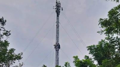 Viettel huy động tổng lực phòng chống bão số 5