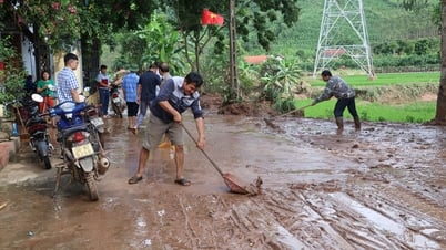 バクニン省：洪水後の環境問題克服に協力