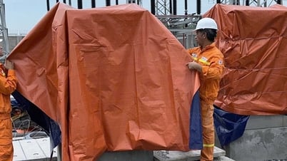 EVNNPT는 5호 폭풍에 적극적으로 대응하여 송전망의 안전한 운영을 보장합니다.
