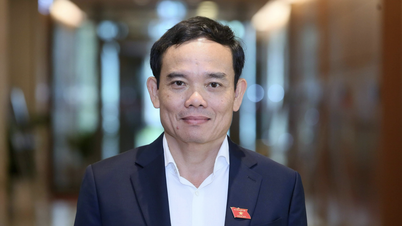 Mr. Tran Luu Quang is Secretary of the Ho Chi Minh City Party Committee.