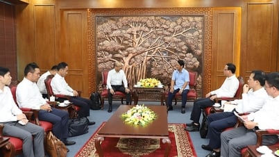Bí thư Tỉnh ủy Hầu A Lềnh tiếp Đoàn công tác Công ty Cổ phần EREX Nhật Bản