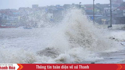 De hautes vagues et des arbres tombés à cause de la tempête numéro 5