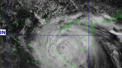 BREAKING NEWS ON STORM NO. 5 (AT 10 AM ON 25/8): about 120km East Southeast of Nghe An