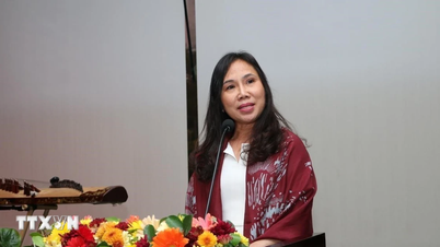 ស្ពានវប្បធម៌តភ្ជាប់វៀតណាម-ស្រីលង្កា
