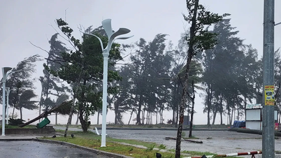 Sturm Nr. 5 hat die Küste erreicht