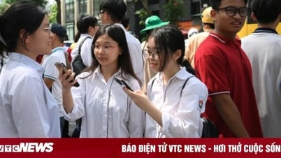 사회과학 및 인문대학은 잘못된 조합 문제에 대한 해결책을 제안합니다.