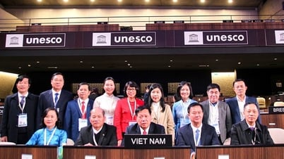 Hành trình bền bỉ đưa di sản văn hóa Hà Tĩnh “chinh phục” UNESCO