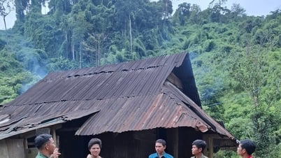 La Êê commune strengthens inspection of landslide risk areas in the area.