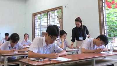 Hướng tới Đại hội đại biểu Đảng bộ tỉnh Khánh Hòa lần thứ I, nhiệm kỳ 2025 - 2030: Ngành giáo dục quyết tâm tạo sự bứt phá