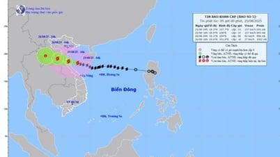 Sturm Nr. 5 mit Böen der Stufe 17, ganz Hai Phong hat starken bis sehr starken Regen