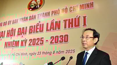 Comrade Nguyen Van Nen is the Standing Member of the Document Subcommittee of the 14th National Party Congress.