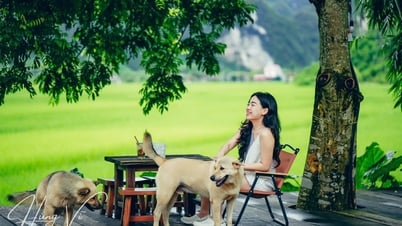 រត់ចេញពីទីក្រុងទៅជ្រលងភ្នំ 2 ម៉ោងដោយបើកបរពីទីក្រុងហាណូយ ជ្រើសរើសផ្លែឈើទុំពិសេស