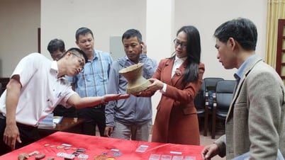 Many scientific discoveries from Phan Hiep archaeological site