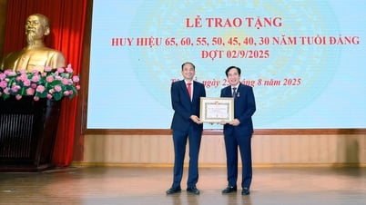 Das Parteikomitee des Bezirks Tay Ho erhielt am 2. September Parteiabzeichen