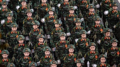 장엄한 퍼레이드 대형, A80 훈련 밤의 동기화된 스텝