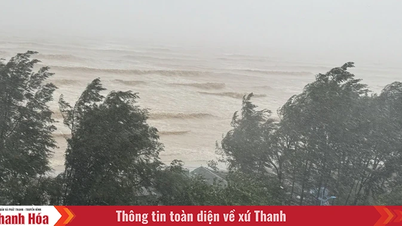 Tiến sỹ Mai Văn Khiêm: Bão số 5 rất nguy hiểm, hội tụ nhiều yếu tố rủi ro cao