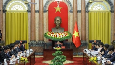Chủ tịch nước Lương Cường tiếp Trưởng Ban Thanh niên Đảng Dân chủ tự do Nhật Bản