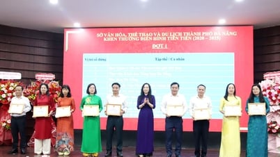 The Department of Culture, Sports and Tourism of Da Nang city commended many typical examples in the patriotic emulation movement.