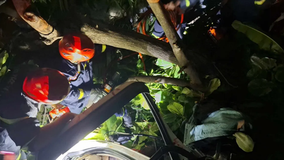 Autoridades rompen cabina para rescatar a conductor atrapado tras accidente de tránsito