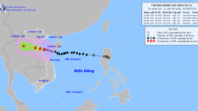 TIN BÃO SỐ 5 (lúc 11h ngày 25/8): Cách Nghệ An 120km về phía Đông Đông Nam, gió giật cấp 17