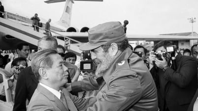 Implementan un plan para movilizar apoyo al pueblo cubano - Periódico Electrónico Cao Bang