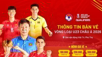 Tickets to watch U23 Vietnam play in the Asian qualifiers cost the highest at 300,000 VND